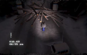 A cat got out if their car to look at a pile of wood blocking the path.