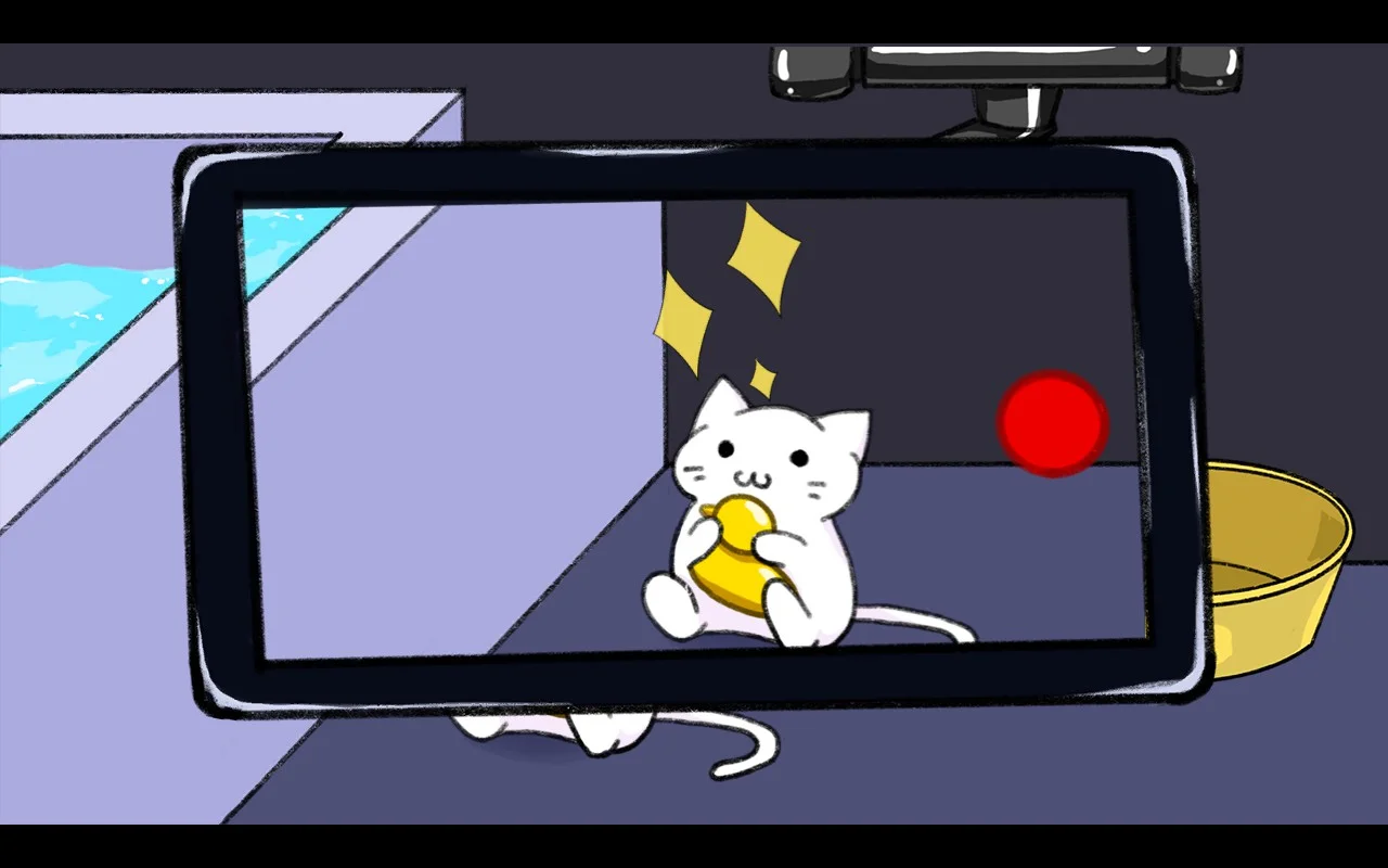 A cat being photographed while playing with a rubber duck.