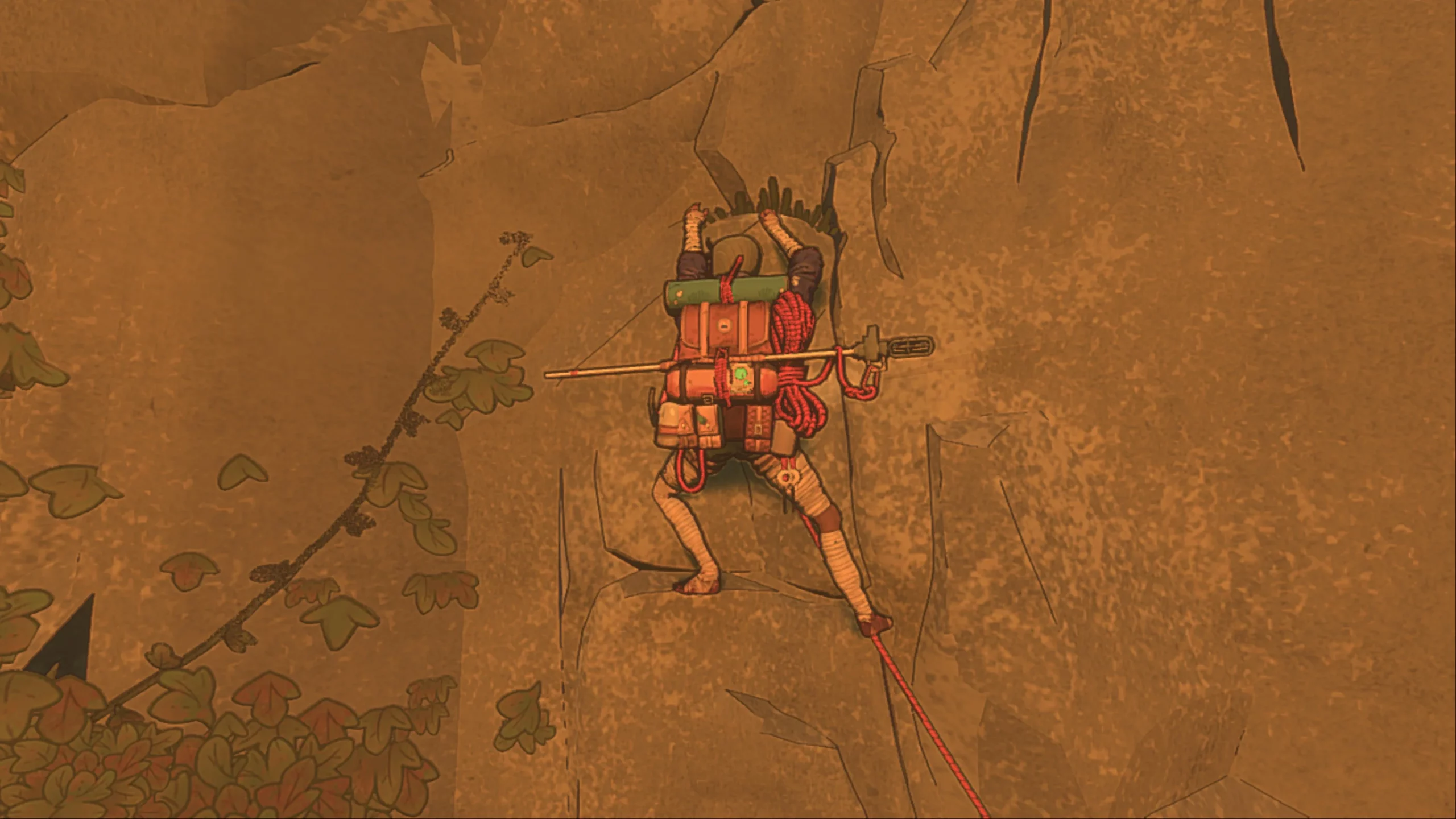 A woman climbing a montain.