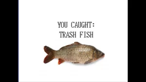 A picture of a fish with text saying: You caught Trash Fish
